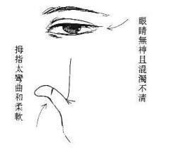 女人相学——命运相