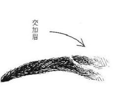 女人相学——命运相