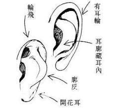 女人相学——命运相