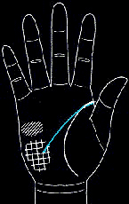 男人手相算命图解男人特征