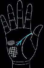 男人手相算命图解男人特征