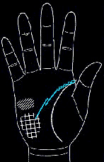 男人手相算命图解男人特征