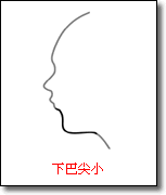 面相图解-下巴