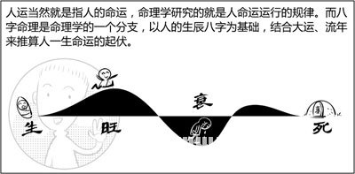 漫画解析八字命理！