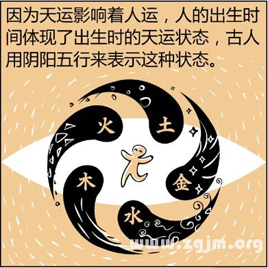 漫画解析八字命理！