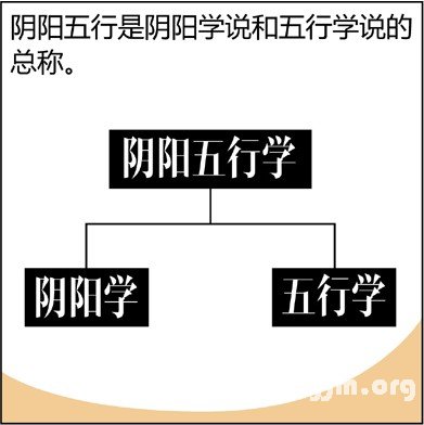 漫画解析八字命理！