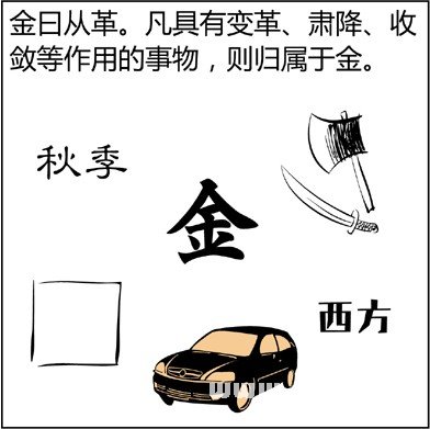 漫画解析八字命理！