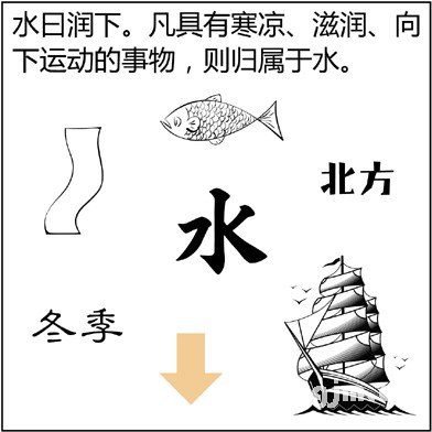 漫画解析八字命理！