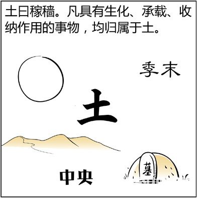 漫画解析八字命理！