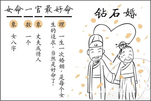 漫画解析八字命理！