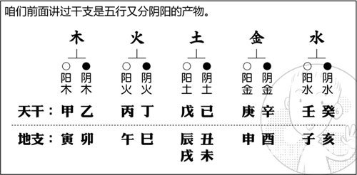 漫画解析八字命理！