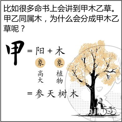 漫画解析八字命理！