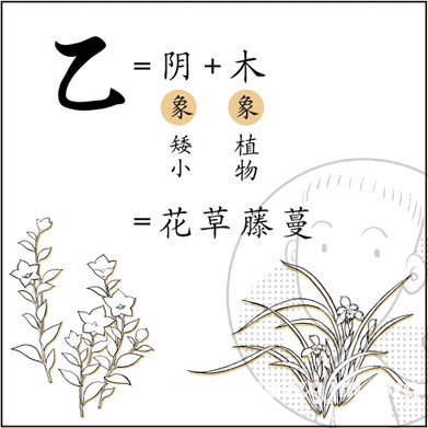 漫画解析八字命理！