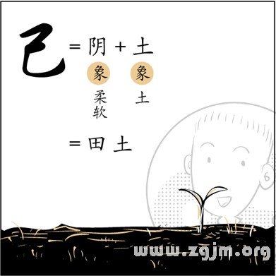 漫画解析八字命理！