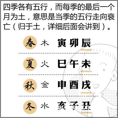 漫画解析八字命理！