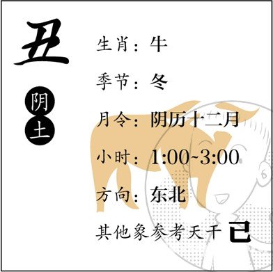 漫画解析八字命理！