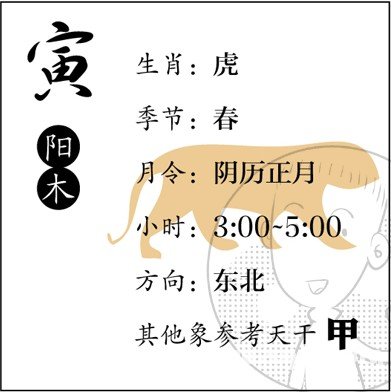 漫画解析八字命理！