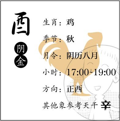 漫画解析八字命理！