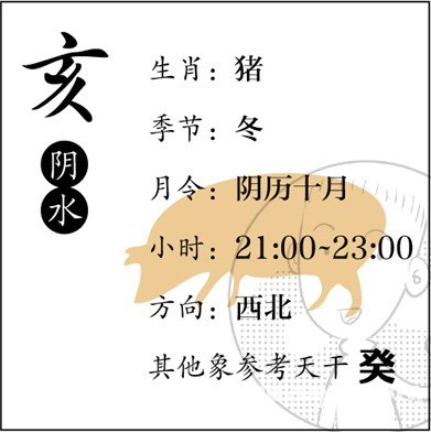 漫画解析八字命理！