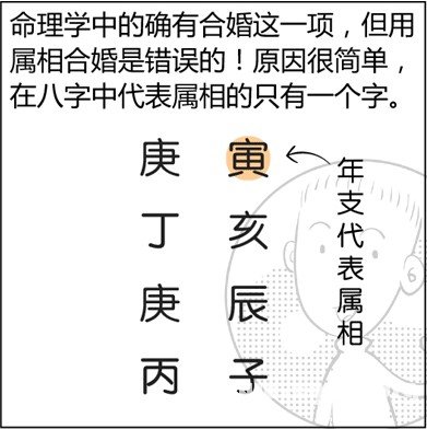 漫画解析八字命理！