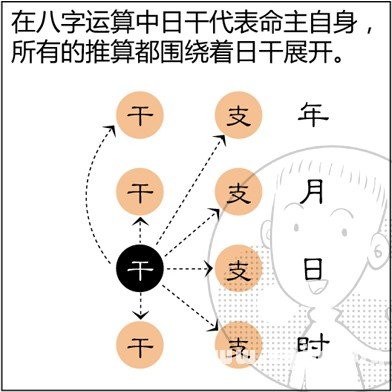 漫画解析八字命理！