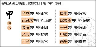 漫画解析八字命理！