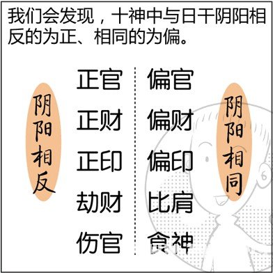 漫画解析八字命理！