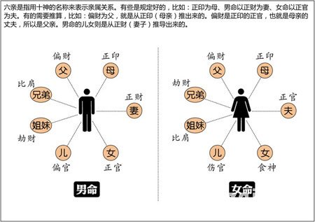 漫画解析八字命理！