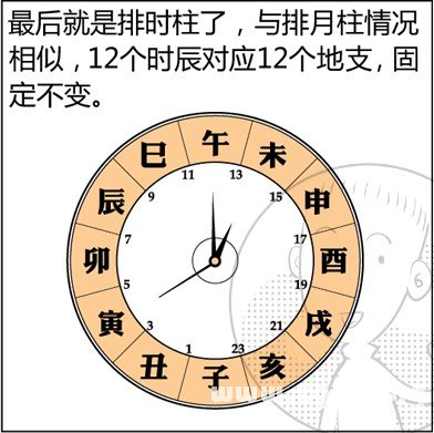 漫画解析八字命理！