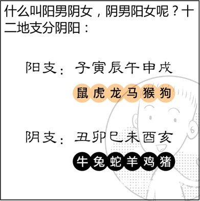 漫画解析八字命理！