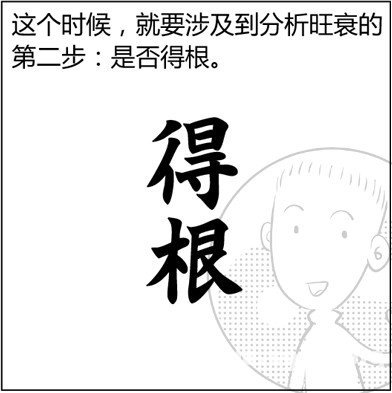 漫画解析八字命理！