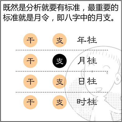 漫画解析八字命理！