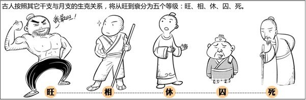 漫画解析八字命理！