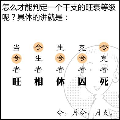 漫画解析八字命理！