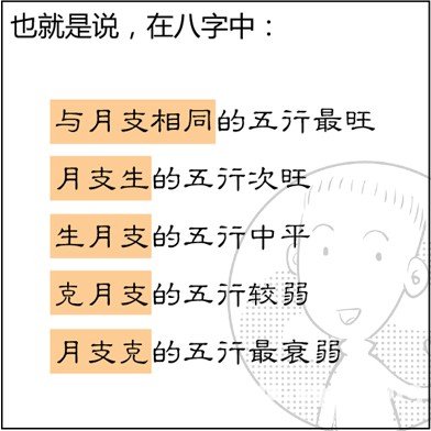 漫画解析八字命理！