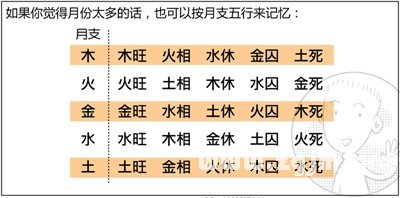 漫画解析八字命理！
