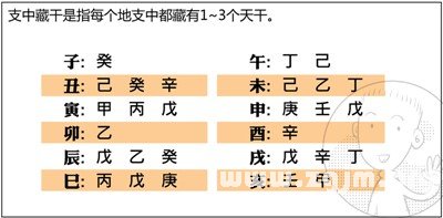 漫画解析八字命理！