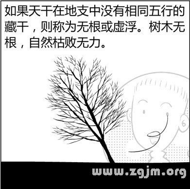 漫画解析八字命理！