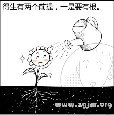 漫画解析八字命理！