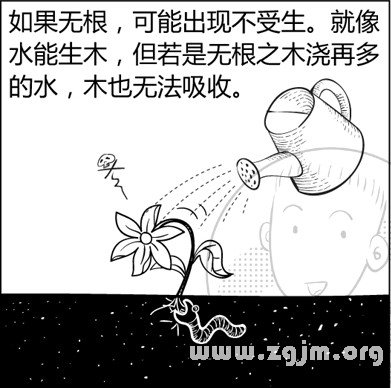漫画解析八字命理！