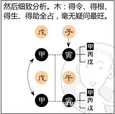 漫画解析八字命理！