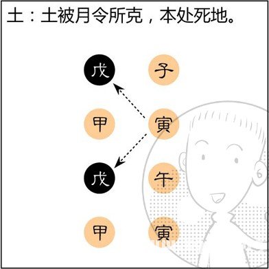 漫画解析八字命理！
