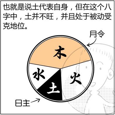 漫画解析八字命理！