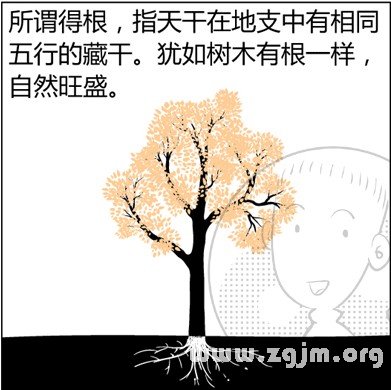 漫画解析八字命理！