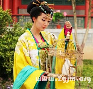塔罗牌测试：梦想中的目标我能如何振奋加速达到