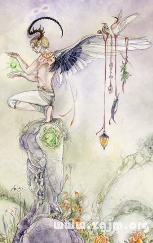 我为什么没有桃花运