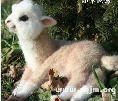 塔罗告诉你你有多少软实力