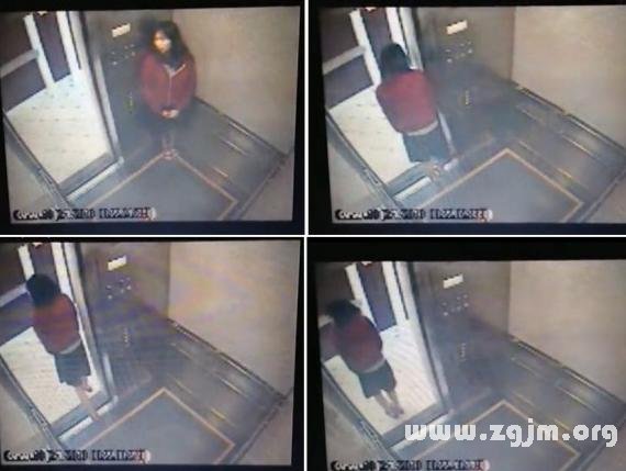 塔罗占卜：蓝可儿死亡之谜