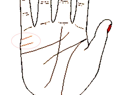 从手相看婚姻 手相看婚姻准吗