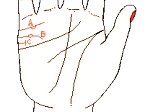 从手相看婚姻 手相看婚姻准吗